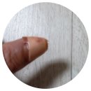 73 | 샤이프나이프 다마스커스칼 73겹 체험후기(feat.요리할수록 감탄 나오는 가성비 주방칼)