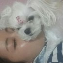 나예쁘다