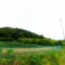 지명인베스트 부동산중개법인 이미지