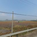 당진 승마장 이미지