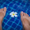 토우의원 이미지