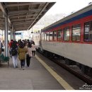 부교농장 이미지