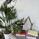 공룡빵공장 이미지