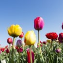 고양교통㈜ 이미지