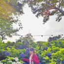 파리바게뜨 이도점 | 제주 동쪽 여행 1일차 코스-동화같았던 초록빛 제주🌳