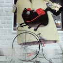 고양이 유치원 이미지