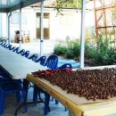 무공해식당 이미지