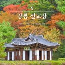 선교장 앞 | 강릉선교장 입장료 단풍 가득 가을 여행