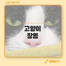 송림동물병원 이미지