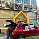 안녕펫택시 | 강아지 유치원 픽드랍 펫택시 기사 후기 2탄!!!