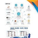 리스펙트킥복싱아카데미 이미지