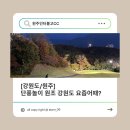 링스경산점 | [강원도/원주] 단풍놀이 원조 #강원도 #인터불고원주CC
