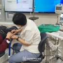 사파동365 이미지