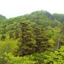 지리산 하늘아래 이미지