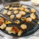 불막열삼회원점