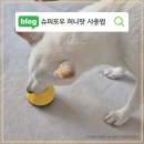 슈퍼포우 허니팟 후기 허니볼 대신 우유 얼려주니 더 좋아했던 노즈워크 장난감