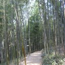 죽림원 이미지