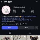 까까줄개 이미지