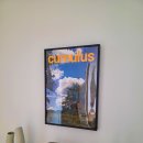 숲과집 | 숲과 구름을 집 안으로 들인 느낌 파르코그래픽스 Forest Clouds 인테리어 포스터 후기