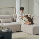 모아크리닝 이미지