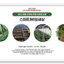 주식회사 잎새삼