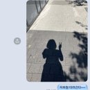 뽑고 또 뽑고 이미지