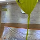 정비뇨기과의원 이미지