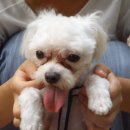 성원아파트 앞 이미지