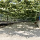 하랑캠핑장 이미지