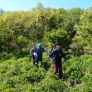 한강농원 이미지