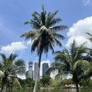 행운공원 이미지