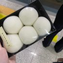 세담방 | 20240918 일기: 안녕?