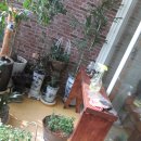 행복한 소꿉놀이 이미지