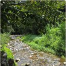 장어독립(가평본점) 이미지