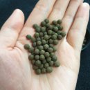 이리약국 이미지