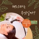 제이환경 | 포항헤드스파 브로우제이 솔직후기