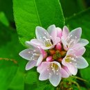 산하소소 이미지