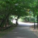 부소산성 낙화암 갈림길 이미지