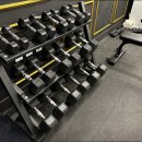 아미쿠스짐 이미지