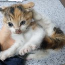 광산구-119 이미지