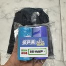도그비숑 | [강아지 패딩] 도그페이스 : 비숑 6.2키로 XL후기 내돈내산