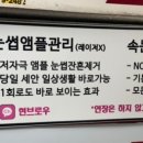 브로우 현