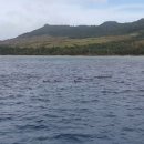 드림마트 이미지