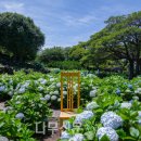 제주허브동산 이미지