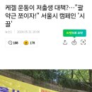 케겔 운동이 저출생 대책?…"괄약근 쪼이자!" 서울시 캠페인 '시끌' 이미지