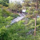 대한조경 - 포항시 북구 한동로 92-1 | 대한조경