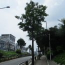 구리둘레길(2코스) 이미지