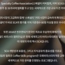 한솔커피바리스타제과제빵학원 - 고양시 일산동구 정발산로 43-20 | 한솔커피바리스타제과제빵학원