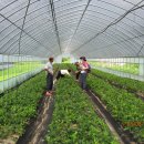 사기막리 이미지