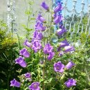 오늘 함께 이미지